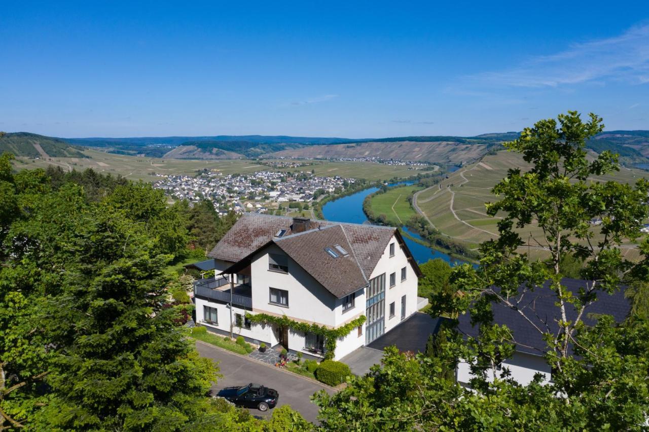Gaestehaus-Weingut Loersch Leiwen Zewnętrze zdjęcie