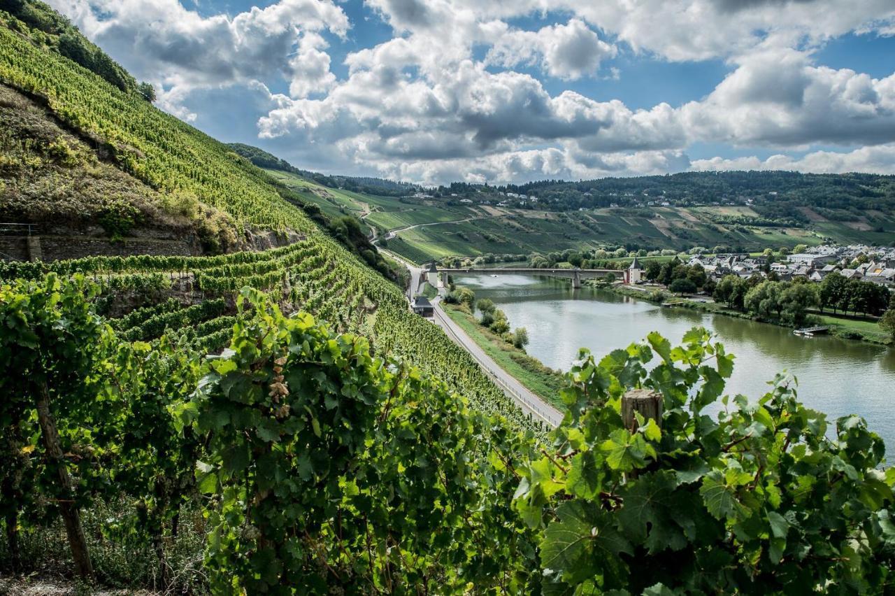 Hotel Gastehaus-Weingut Loersch Leiwen Zewnętrze zdjęcie