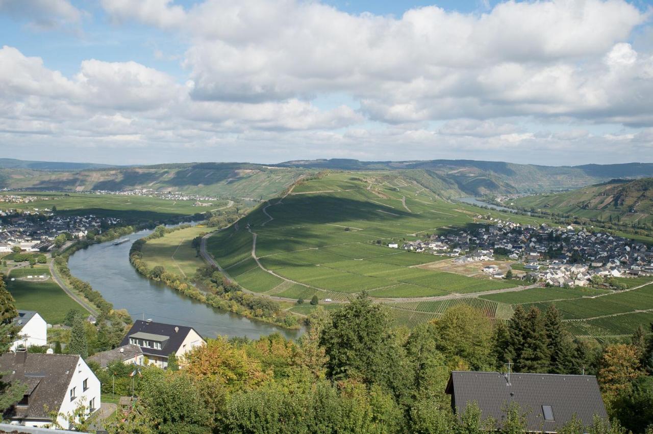 Hotel Gastehaus-Weingut Loersch Leiwen Zewnętrze zdjęcie